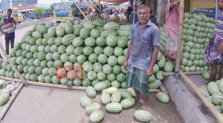 দাম নেই, তরমুজ নিয়ে বিপদে চাষিরা